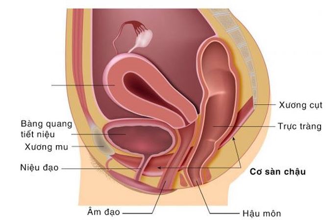 Khám bác sĩ chuyên khoa Tiết niệu